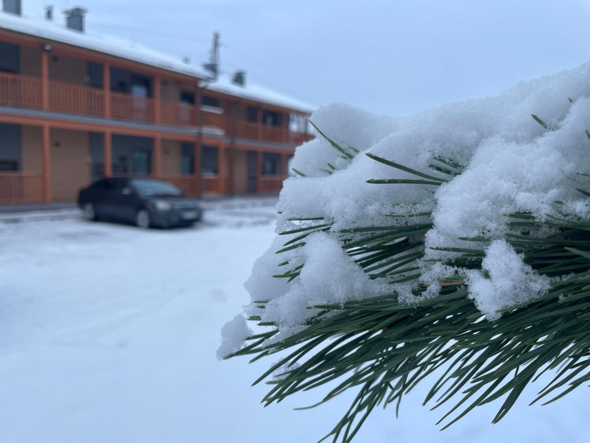 Bestes Apartamenti Koceni Dış mekan fotoğraf