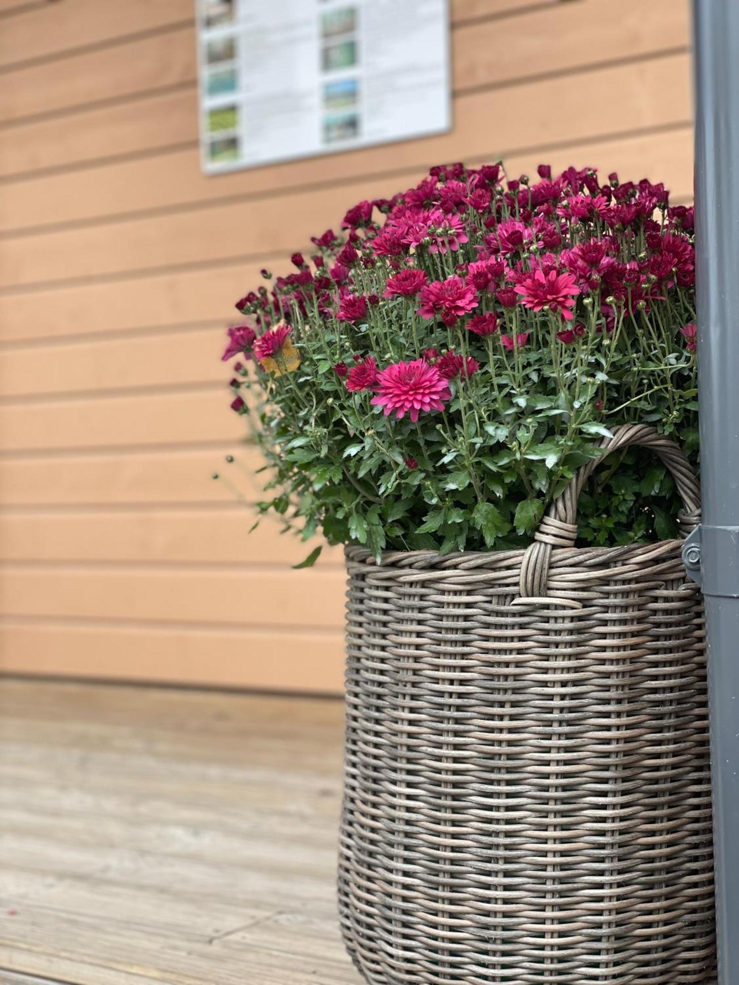 Bestes Apartamenti Koceni Dış mekan fotoğraf
